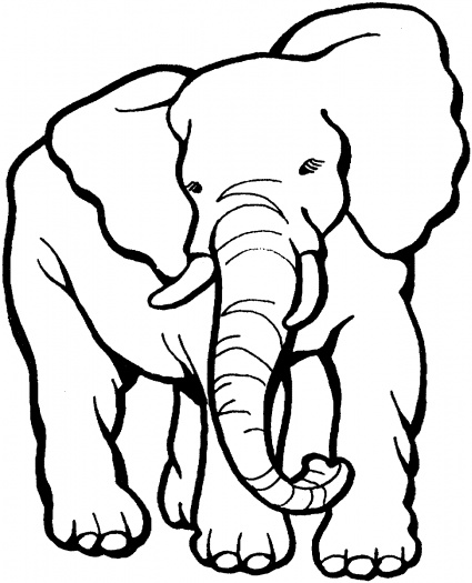 Elephant Coloring Page #3885