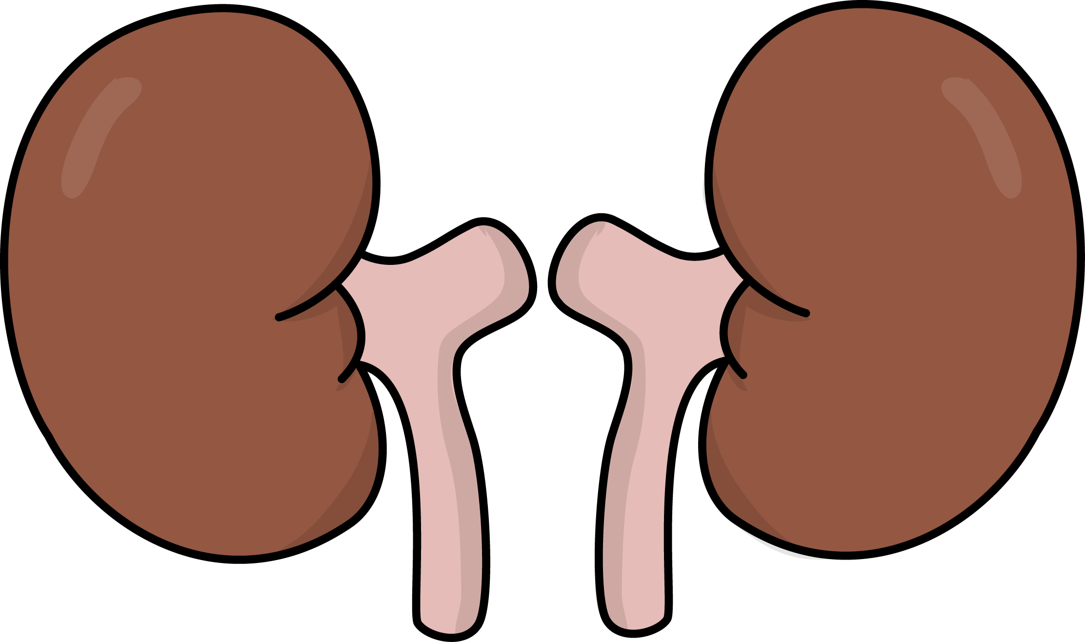 Free Kidneys Health High Resolution Clip Art | All Free Picture