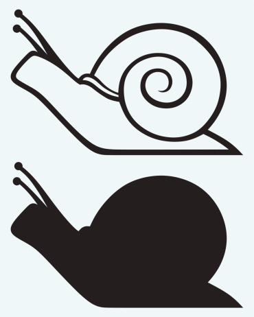 Snail Clip Art, Vector Images & Illustrations