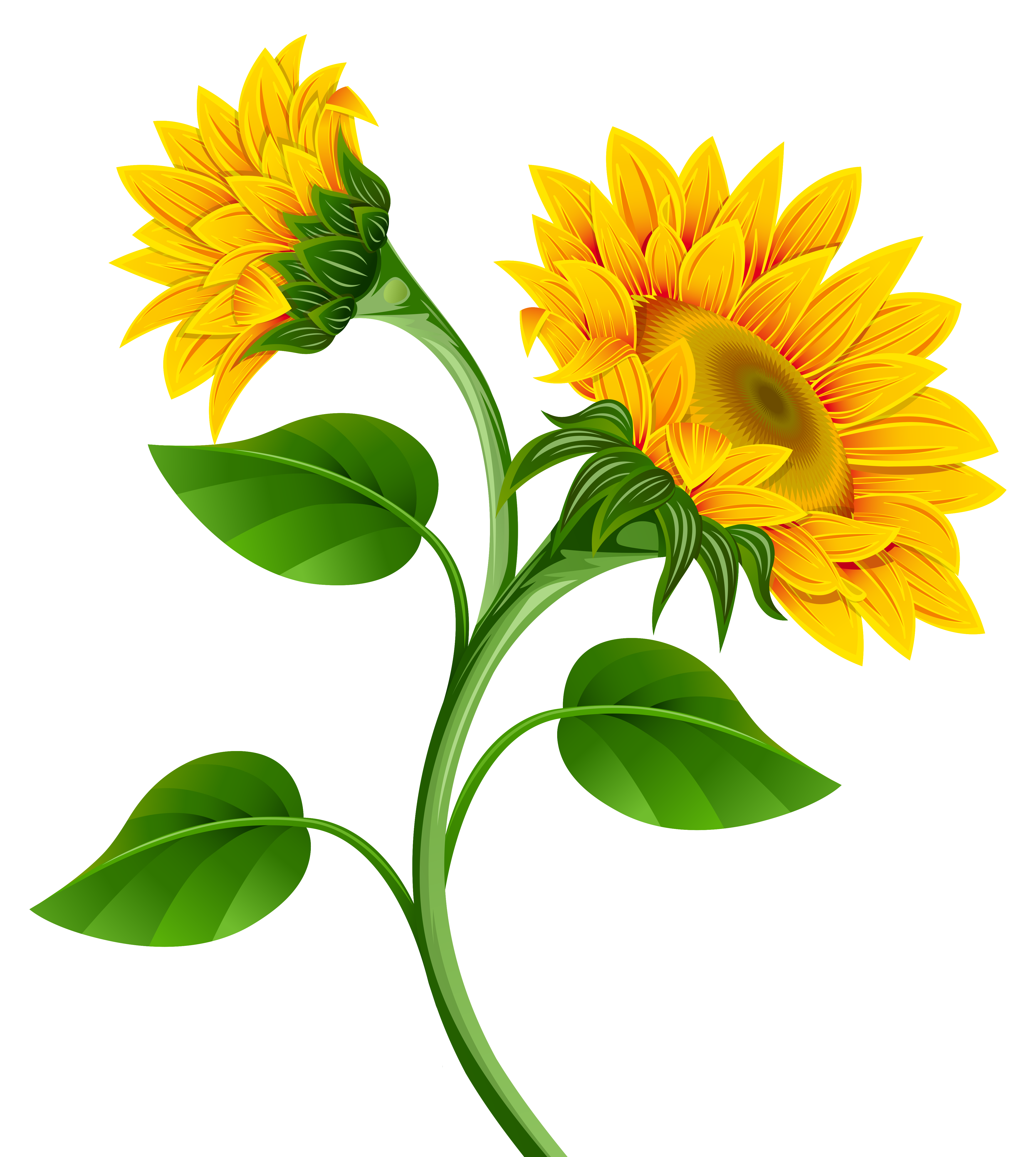 Sunflower Clipart, Png - ClipArt Best