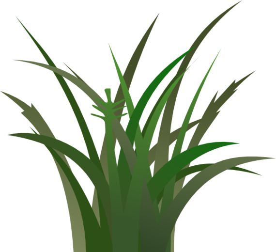 Grass Cartoon Clipart - Free to use Clip Art Resource