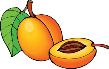 Nectarine Clipart | Free Download Clip Art | Free Clip Art | on ...