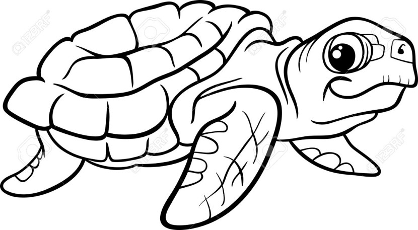 Black and white turtle clipart