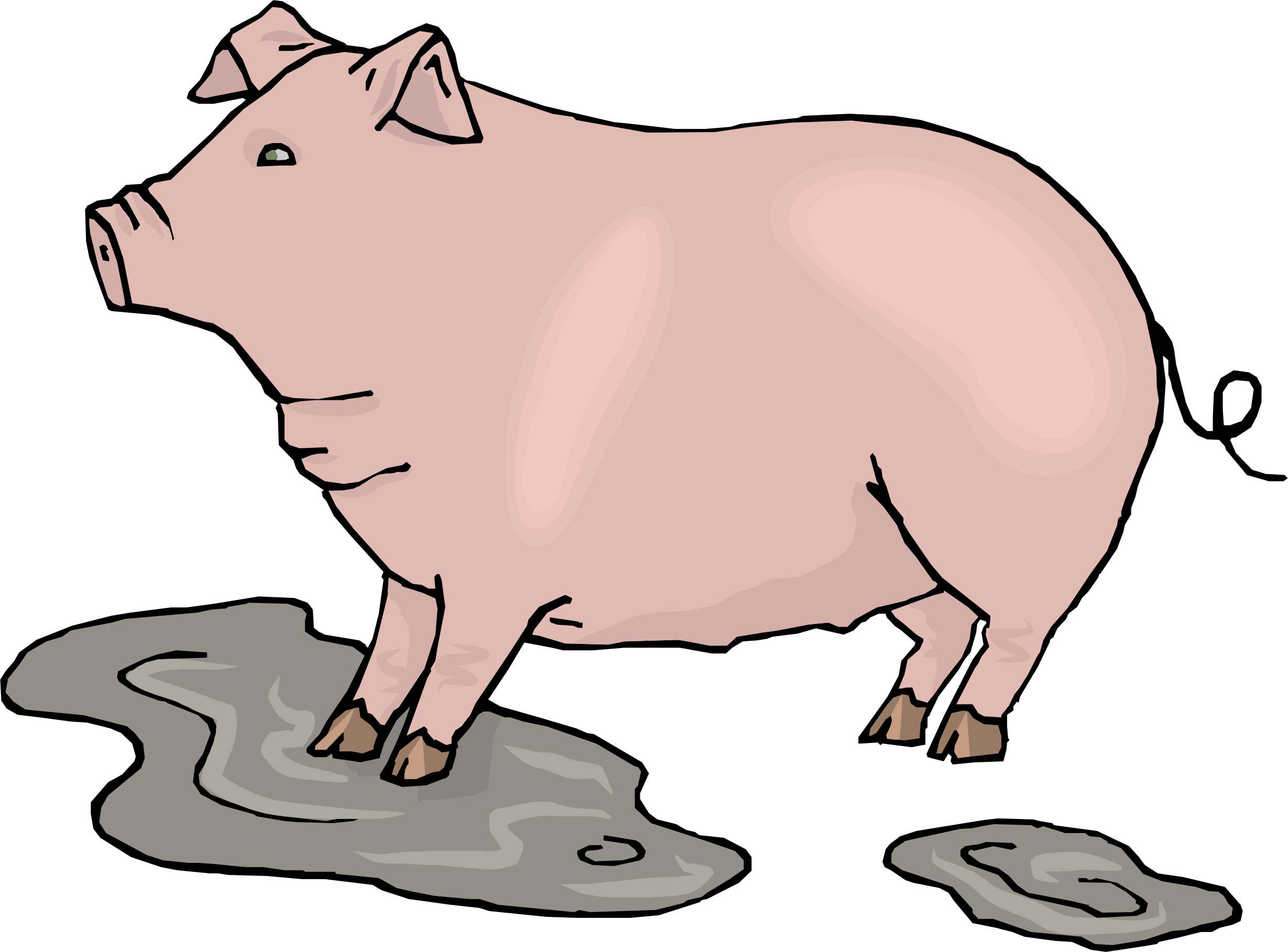 495 views Cartoon Pig