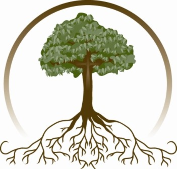 Oak Tree With Roots Clipart