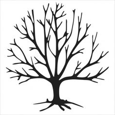 Tree Bare Outline - ClipArt Best