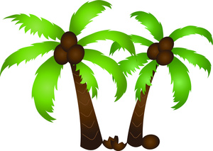 Coconut tree clipart