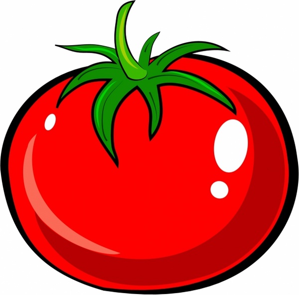 Tomato Plant Drawing - ClipArt Best
