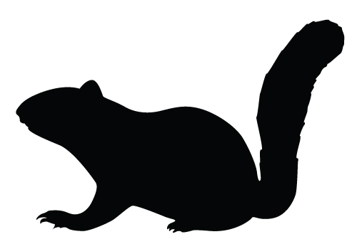 Squirrel Silhouette - Clipartion.com