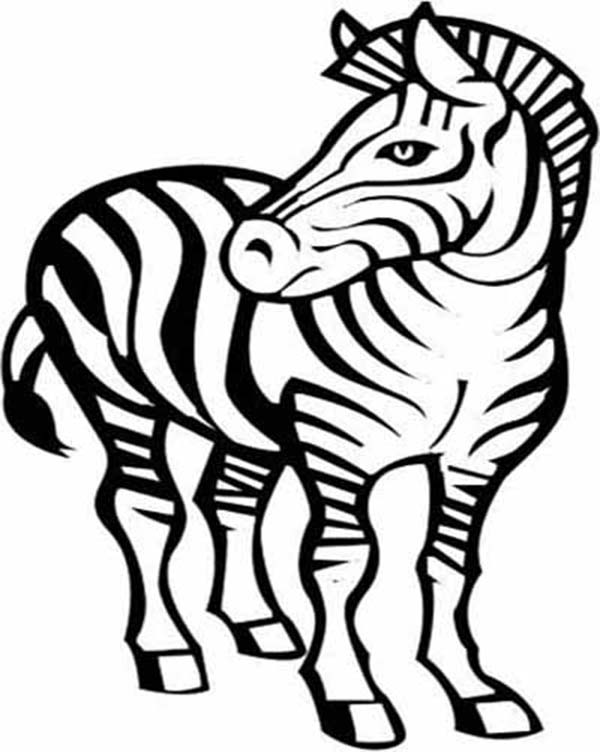 Awesome Zebra Drawing Coloring Page | Kids Play Color