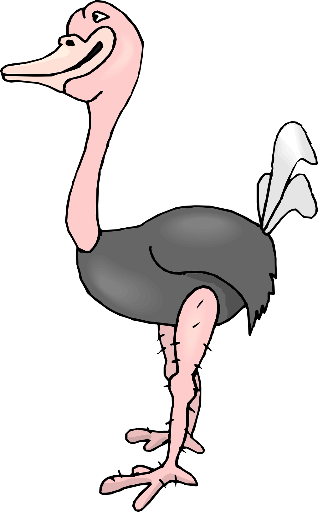 Ostrich Cartoon Clipart - Free to use Clip Art Resource