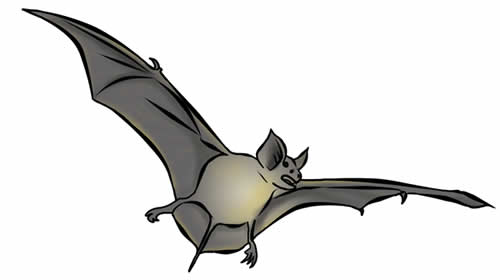 Free bats clip art by phillip martin - Cliparting.com
