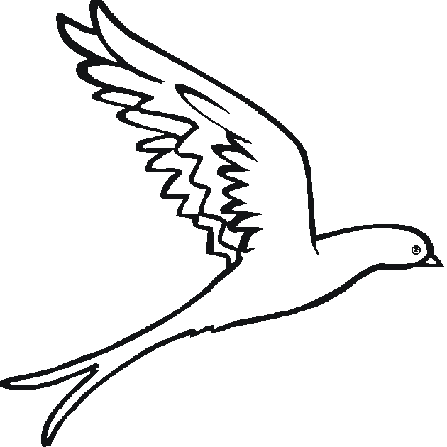 568 views Line Drawings Of Birds In Flight - ClipArt Best