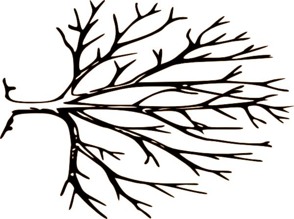 Indie black and white tree clipart