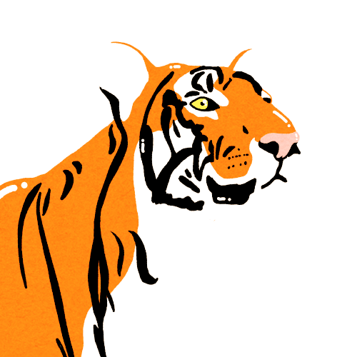 Animated Gif Tiger - ClipArt Best Animated Gif Tiger - ClipArt Best