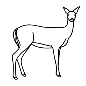 Deer Line Drawing - ClipArt Best