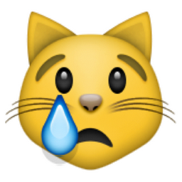 ð??¿ Crying Cat Face Emoji (U+1F63F/U+E413)