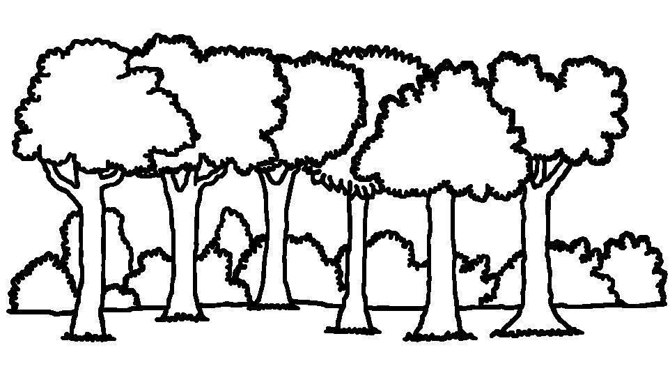 Cartoon tree clipart black and white - ClipArt Best - ClipArt Best