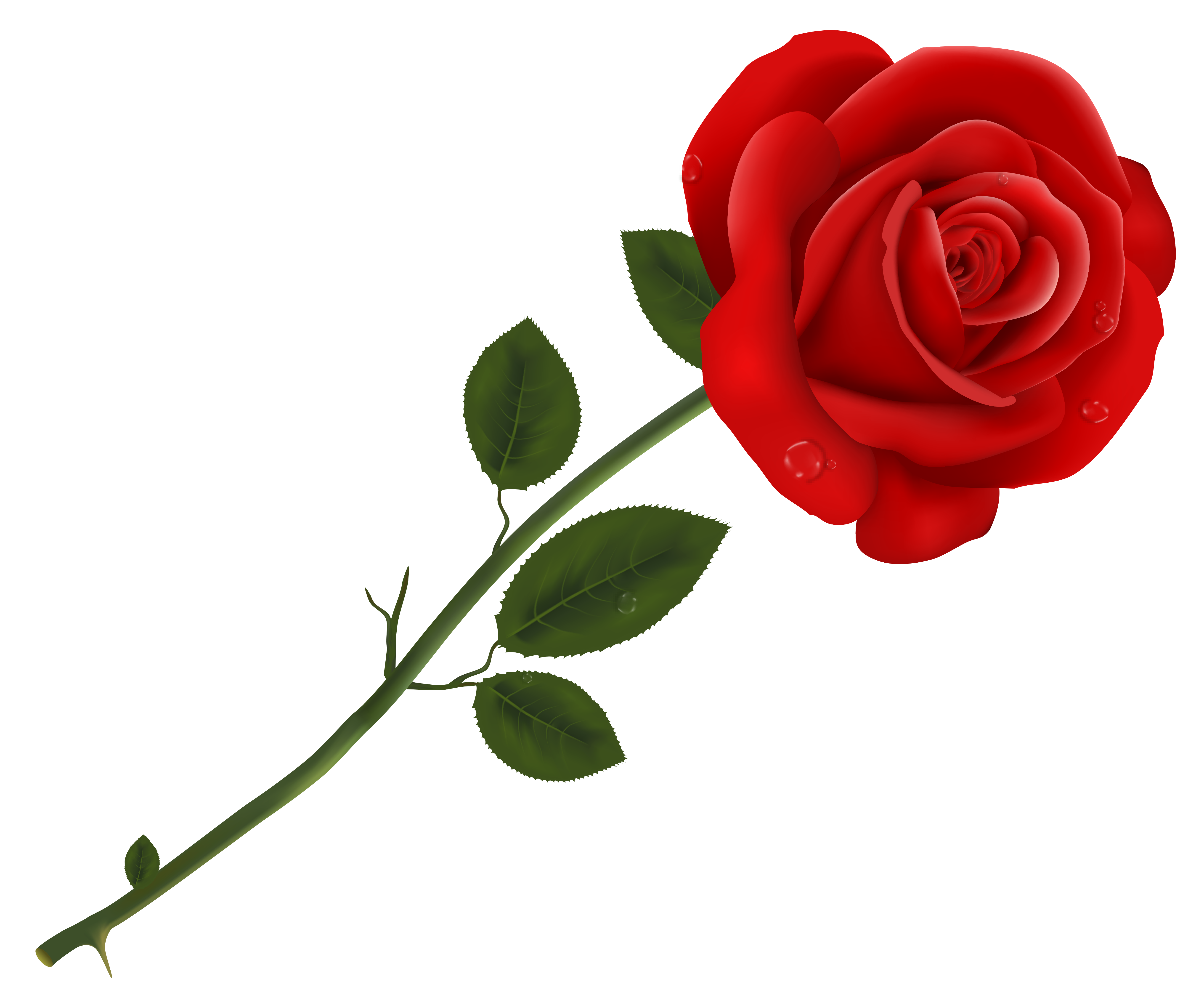 rose clipart – Clipart Free Download