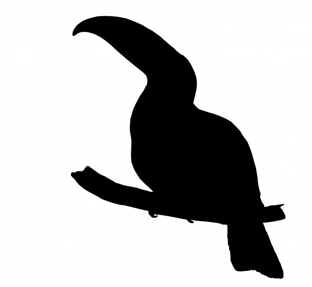 free bird clipart silhouette