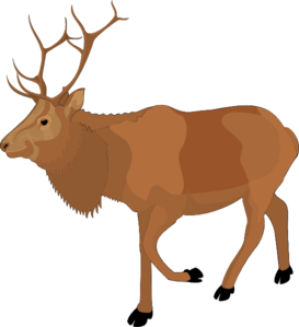 576 views Reindeer 5 clip art - vector clip art online, royalty free ...