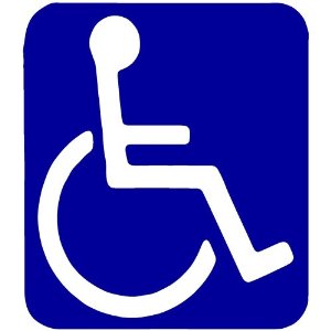Amazon.com - Disabled Wheelchair Handicap Sign Decal Sticker (King ...