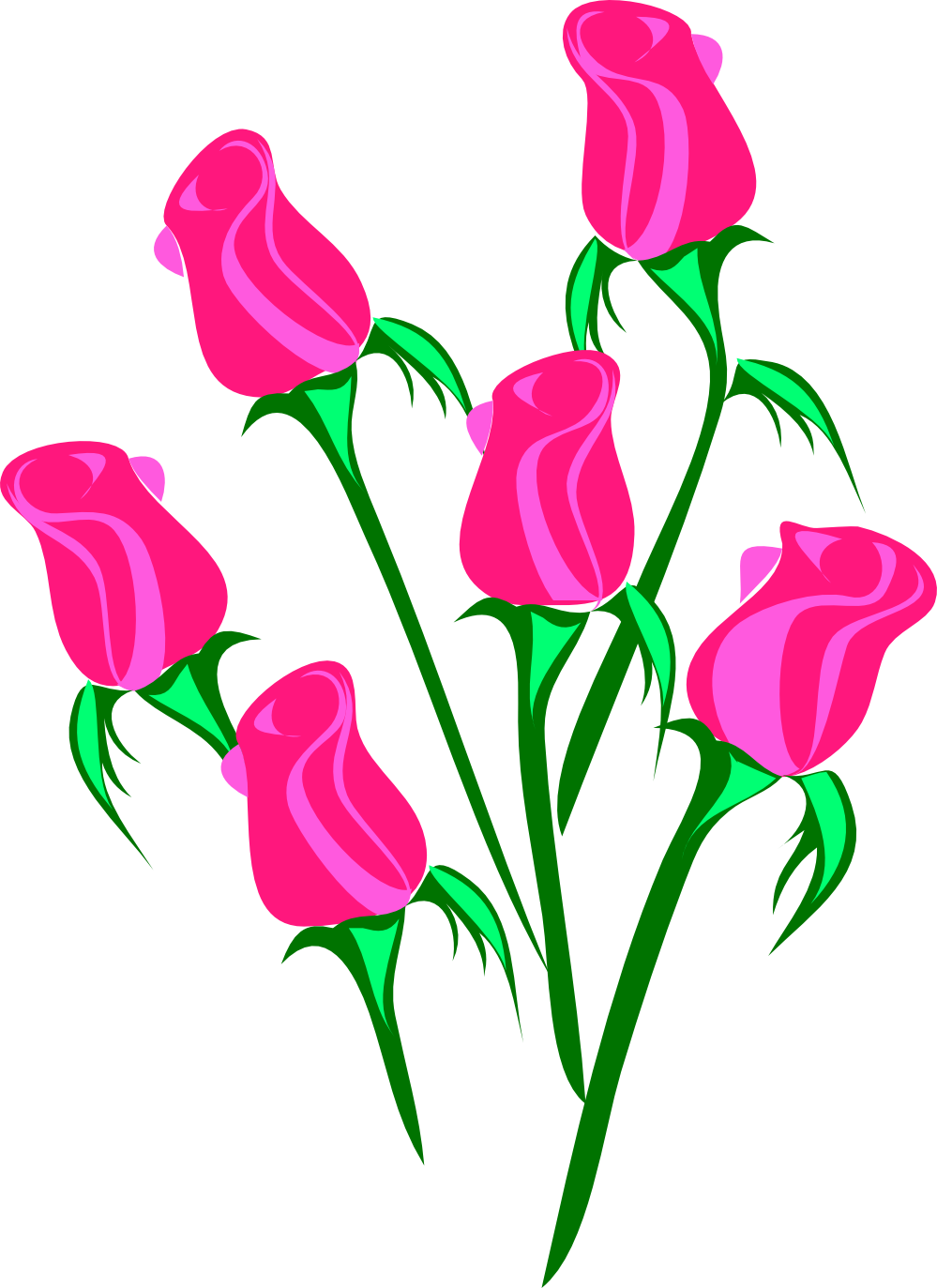 SVG Rose Unsor Flower xochi.info scallywag Flower Plant xochi.