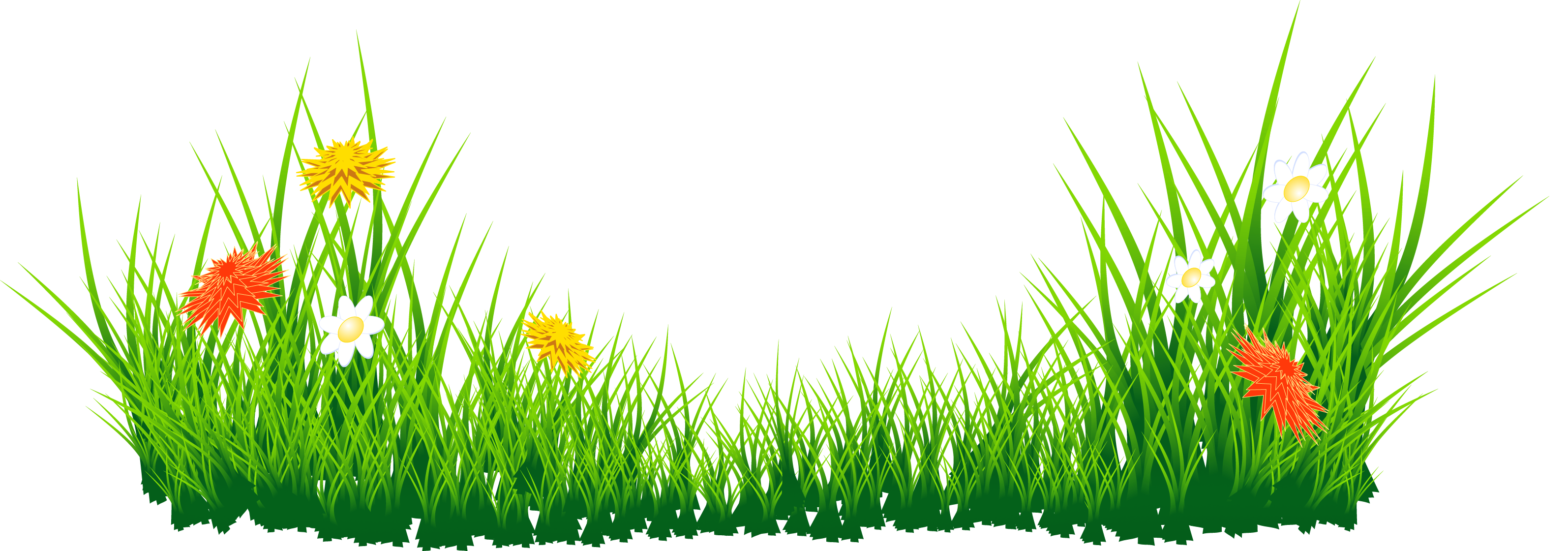 Flowers with Grass PNG Picture