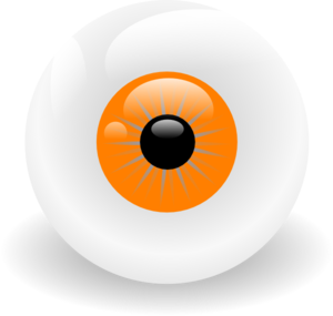 Eye Ball Orange clip art - vector clip art online, royalty free ...