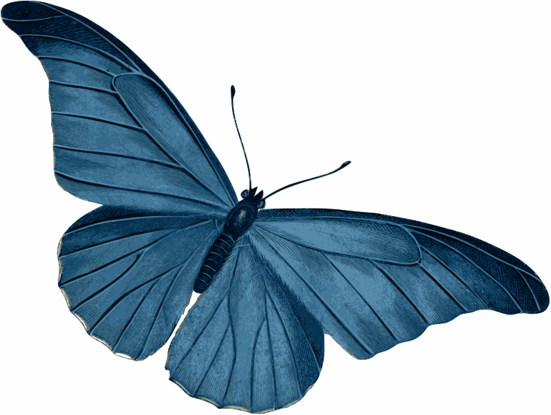 Clipart - Blue Butterfly