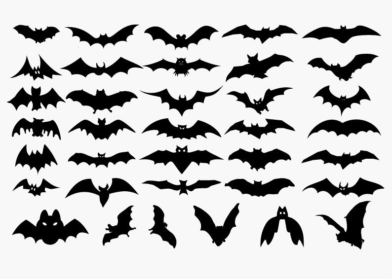 Vector Set of Halloween Bat Silhouette | Free Vector Graphics ...