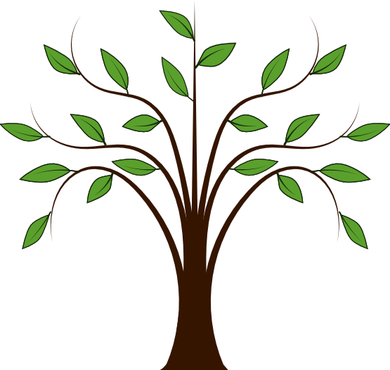 Tree PNG by HanaBell1