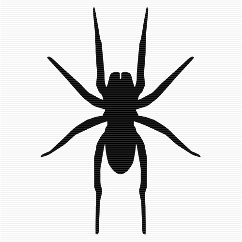 SpiderClipArt.com - Spider clip art catalog