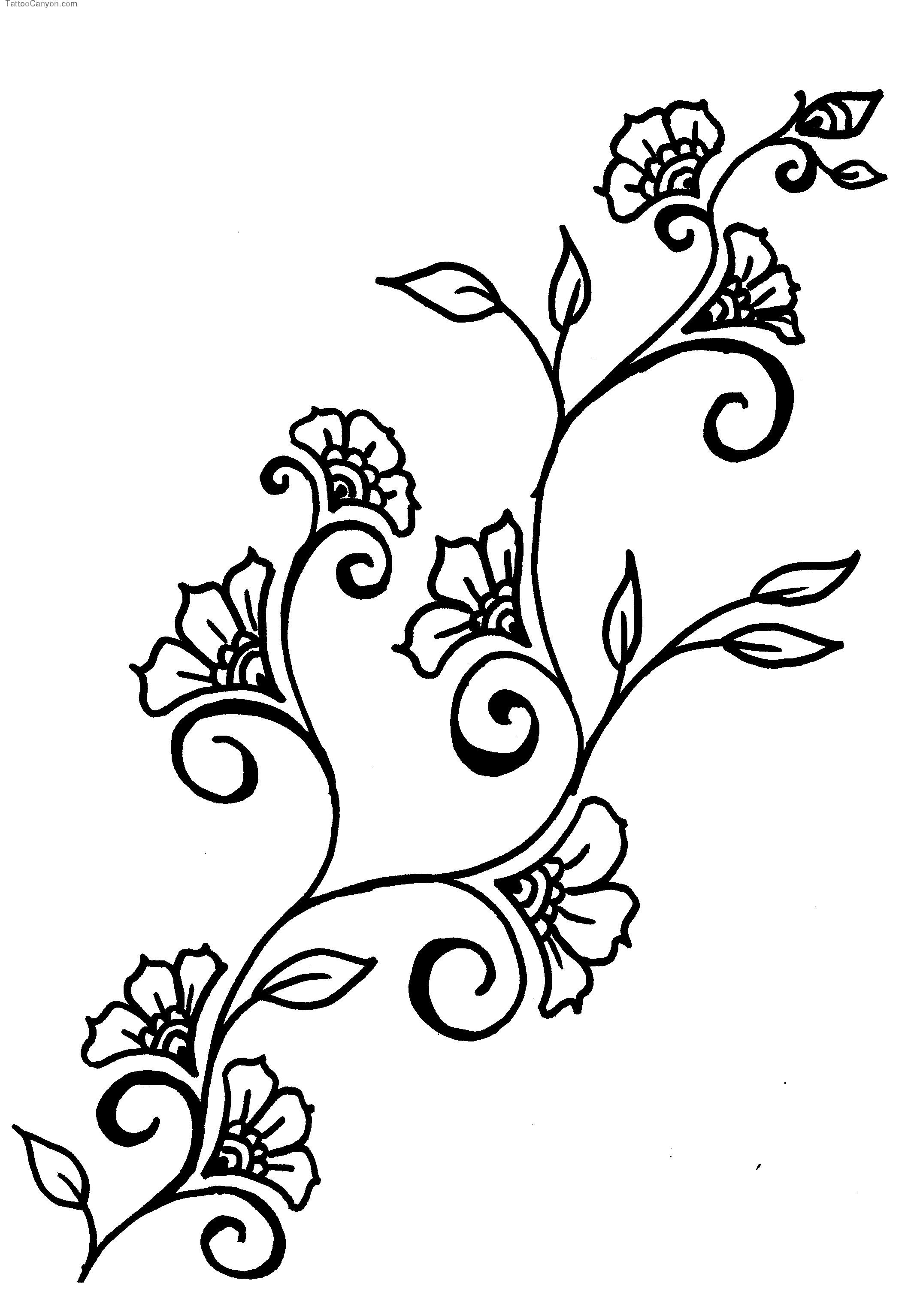 Vines Flowers Design Drawings - ClipArt Best