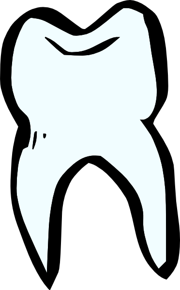 Tooth outline clip art - ClipartFox