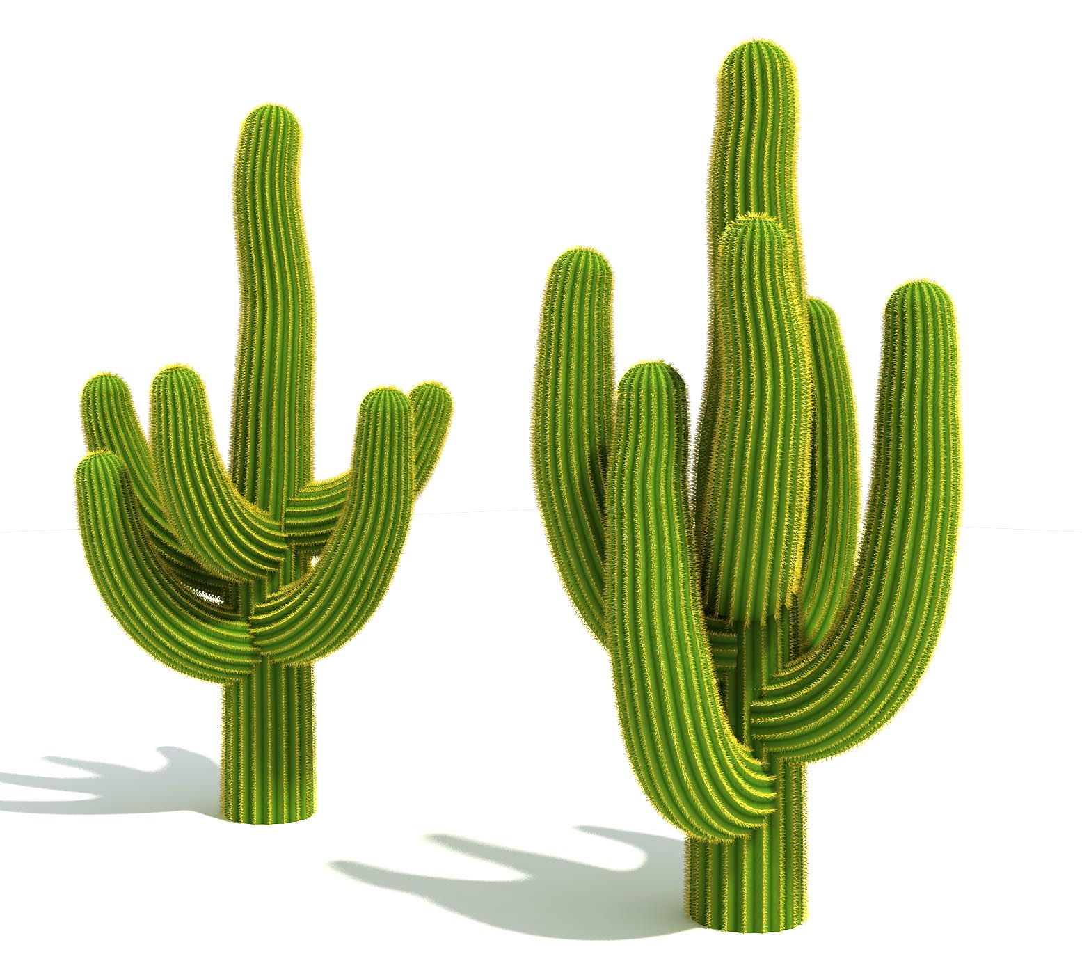 Cactus Images Free | Free Download Clip Art | Free Clip Art | on ...