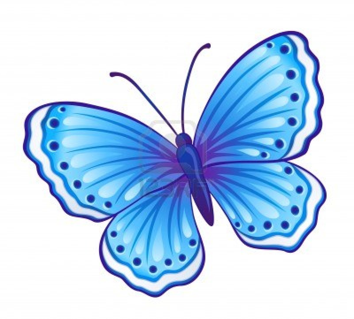 Butterfly Cartoon | Free Download Clip Art | Free Clip Art | on ...