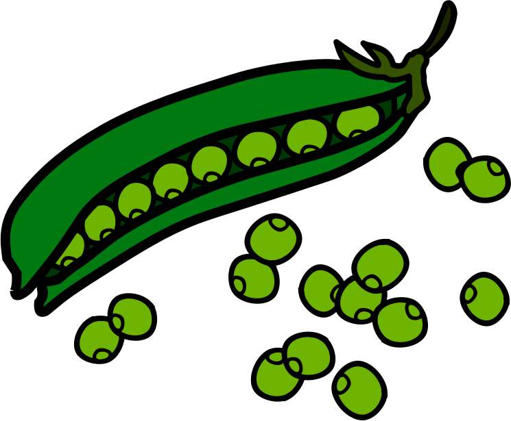 clipart of green beans - photo #21