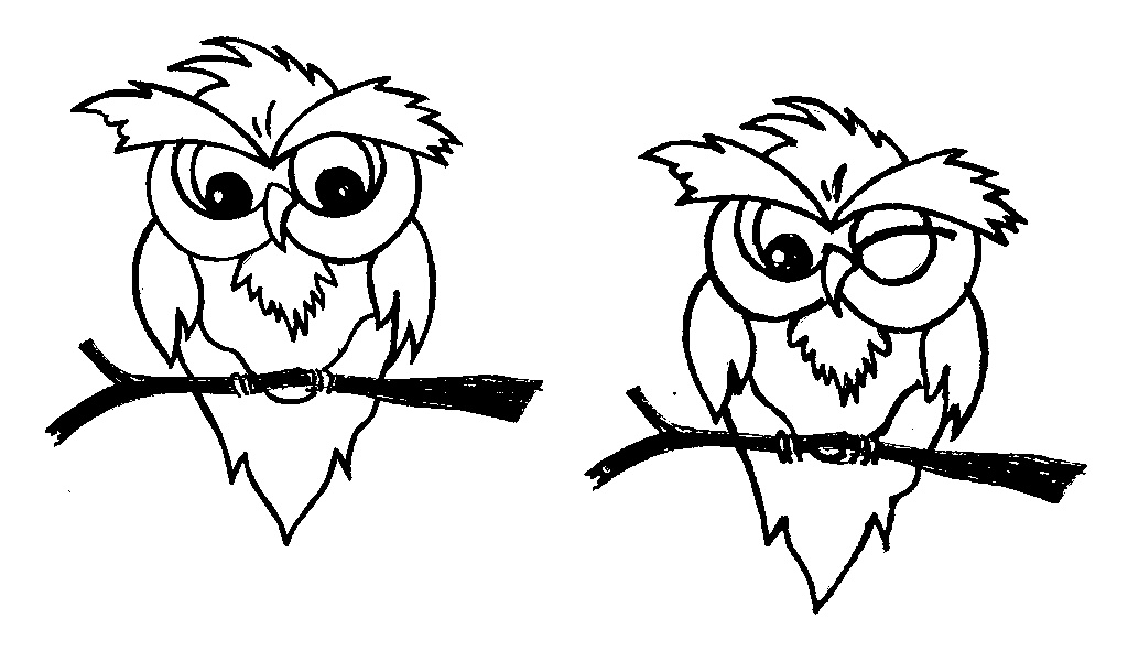 OWL ON BRANCH,CARTOON OWL ON BRANCH,CARTOON,WINKING logo by Caroline K Morgan