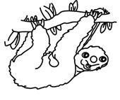 Animals For > Sloth Outline