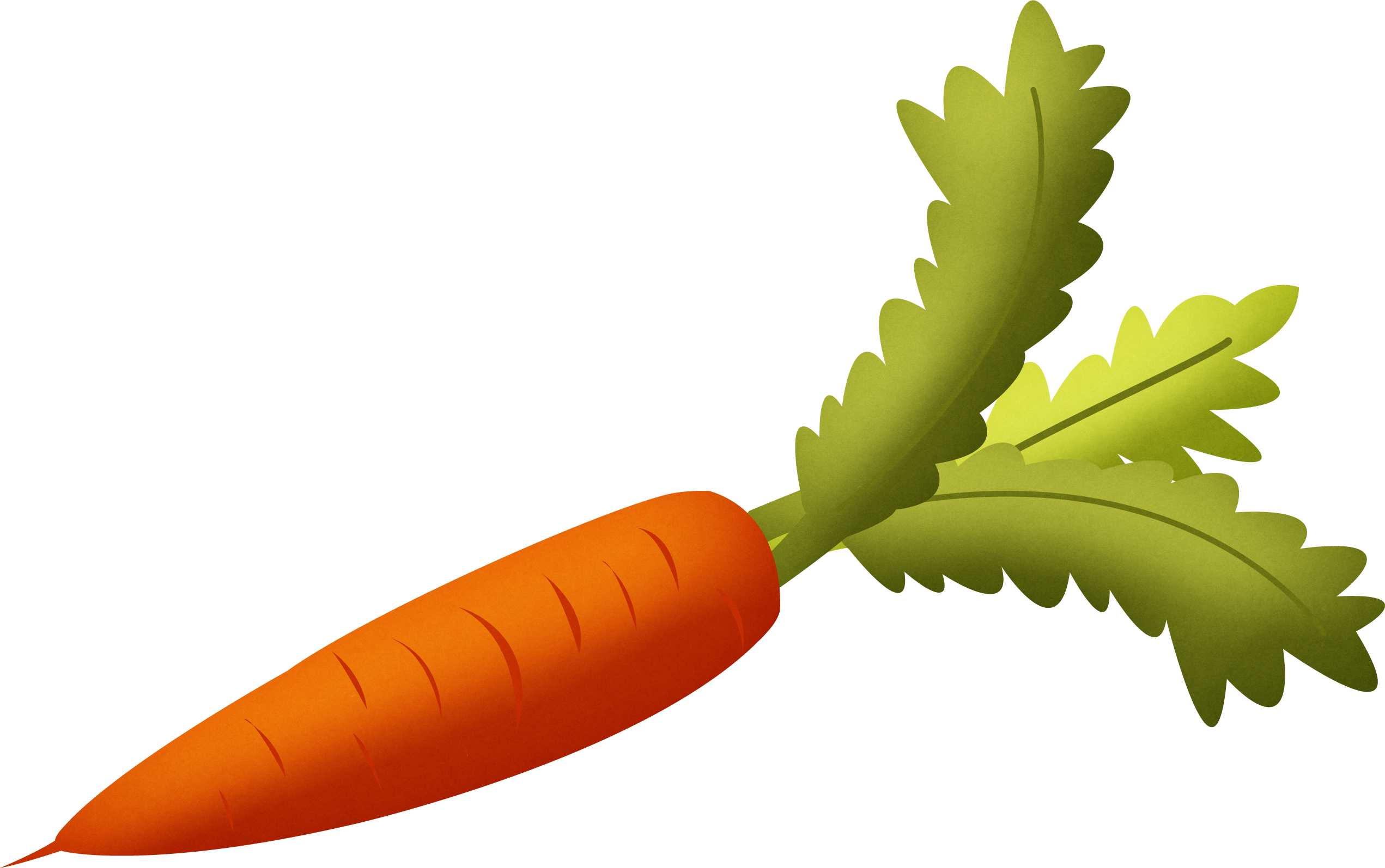 Carrot PNG image free download