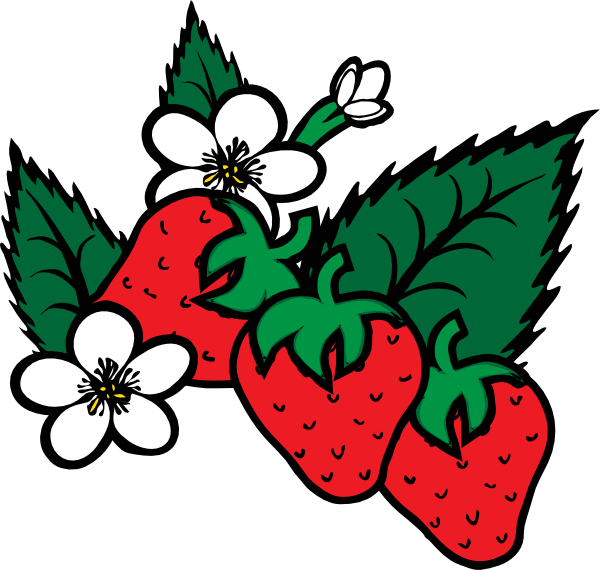 Strawberries clip art - vector clip art online, royalty free ...
