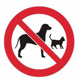No Dogs & Cats Allowed At Koala Beach Fields. Fines Will Apply ...