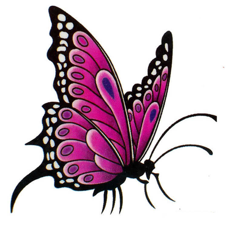 60 Butterfly Tattoos Feminine And Tribal Butterfly Tattoo Designs ...