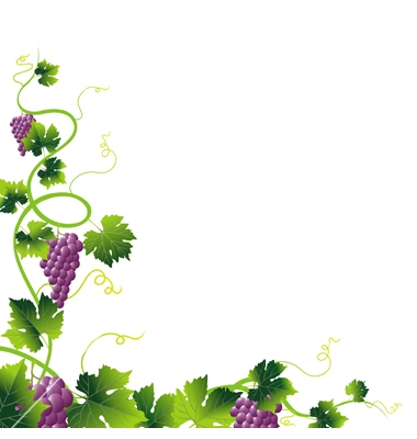 Grape Vine Border Clipart