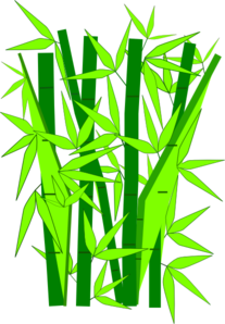 The bamboo tree clipart