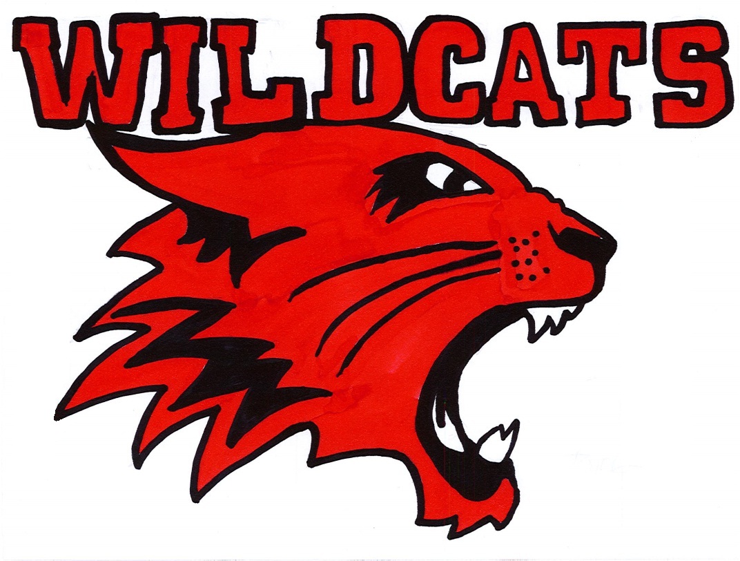 Wildcats Logo High School Musical Log 248 | WSOURCE