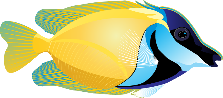 Ocean fish clipart