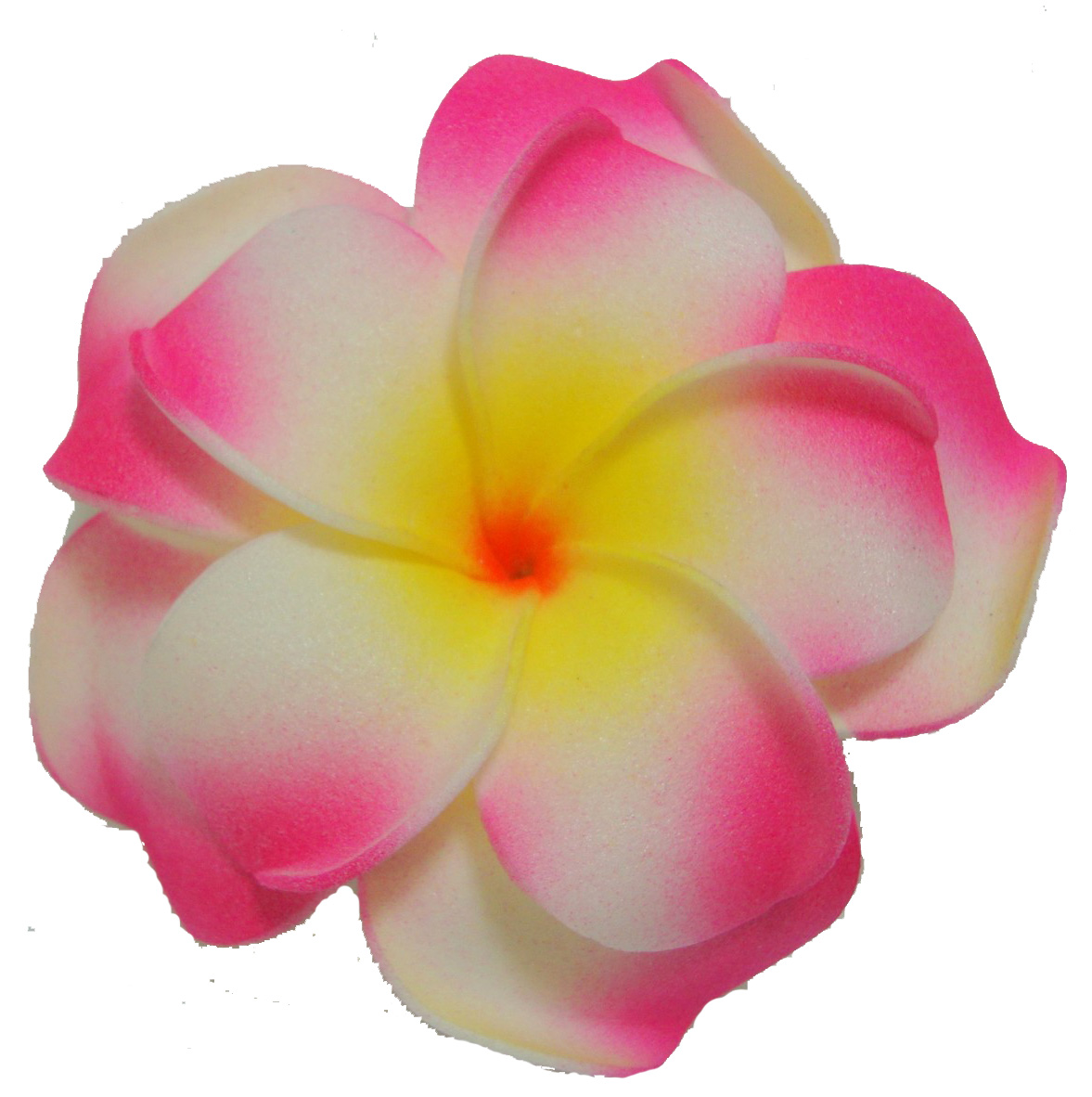 Free clip art plumeria flower - ClipartFox