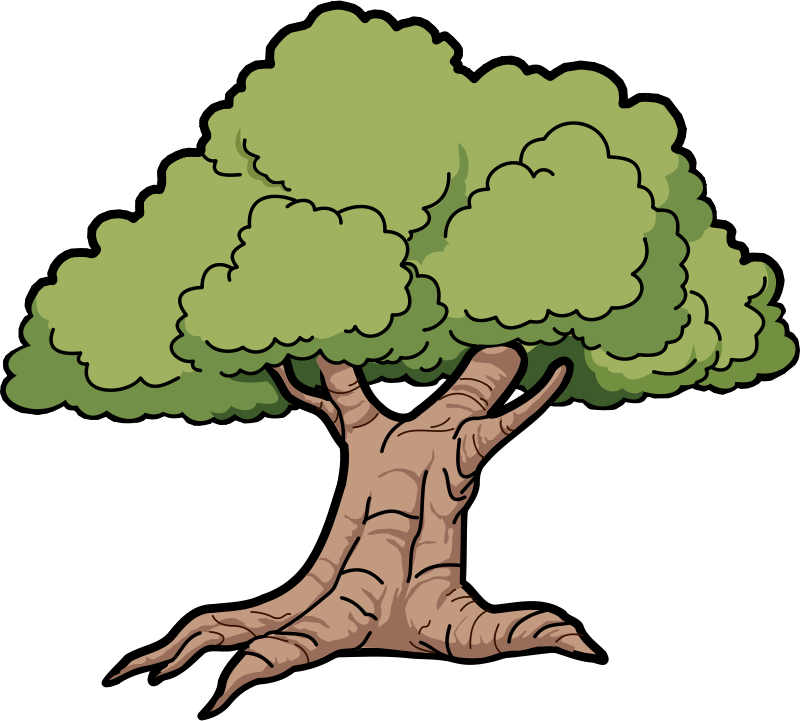 Rainforest trees clipart